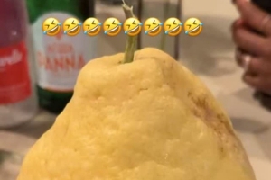 略顯驚訝！詹姆斯曬旅行途中遇到巨型檸檬：什么鬼？！配圖